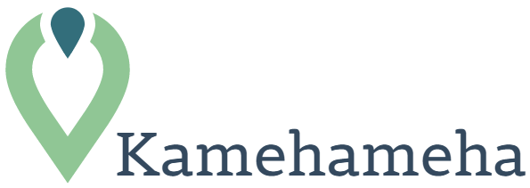 ヴァイラルツール倶楽部Kamehameha