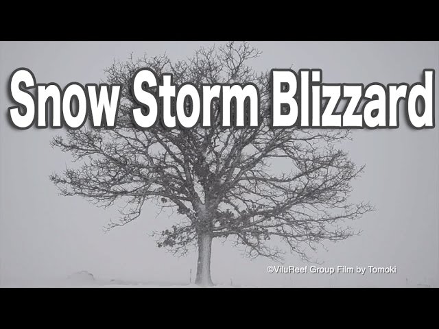 The Best Relaxing Winter Sounds Snow Storm Blizzard 12 hours