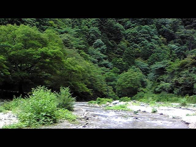 【癒し系】自然音 せせらぎ 長め “Babbling Brook Sound Meditation”
