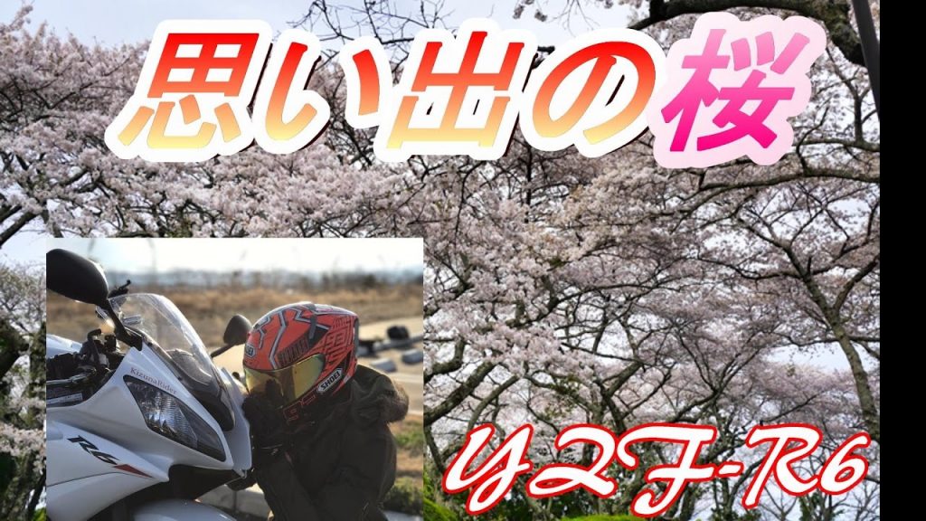 YZF-R6で桜と癒しを求めてソロツー！ モトブログ56