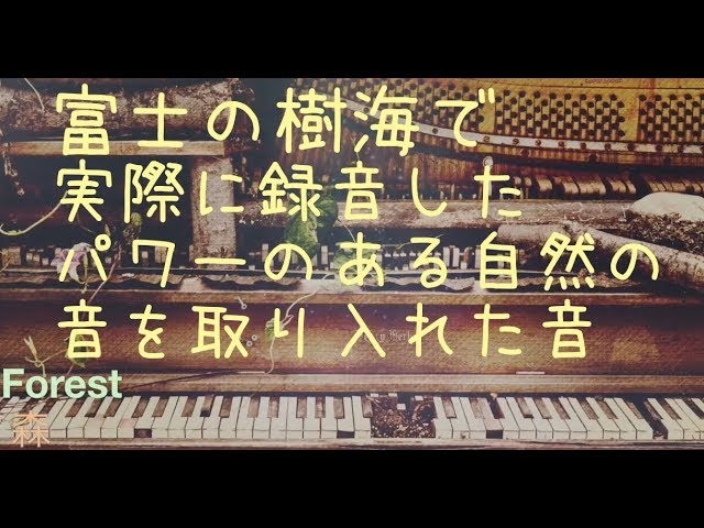 「癒しのBGM」富士の樹海や自然界の音を混ぜたBGM