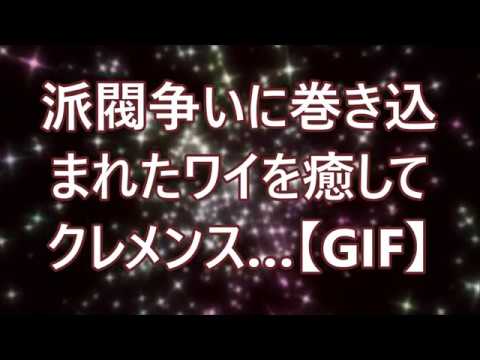 派閥争いに巻き込まれたワイを癒してクレメンス…【GIF】