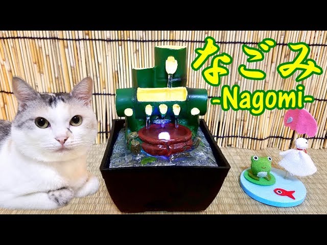 なごみの境地に達した猫《極上の和の癒し》Nagomi cat