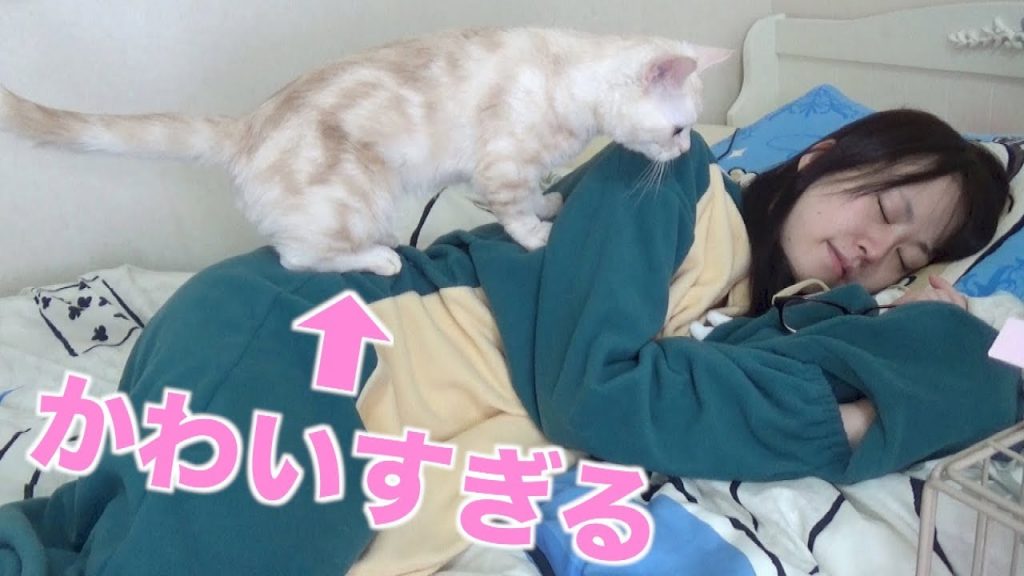 【癒し系イチャイチャ動画】飼い主が寝てる時の猫の行動がかわいすぎる