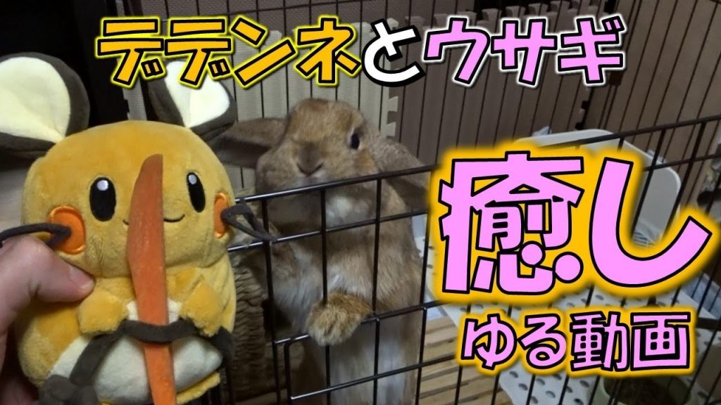 デデンネとウサギが遊ぶ癒しのゆる動画【ポケモン】