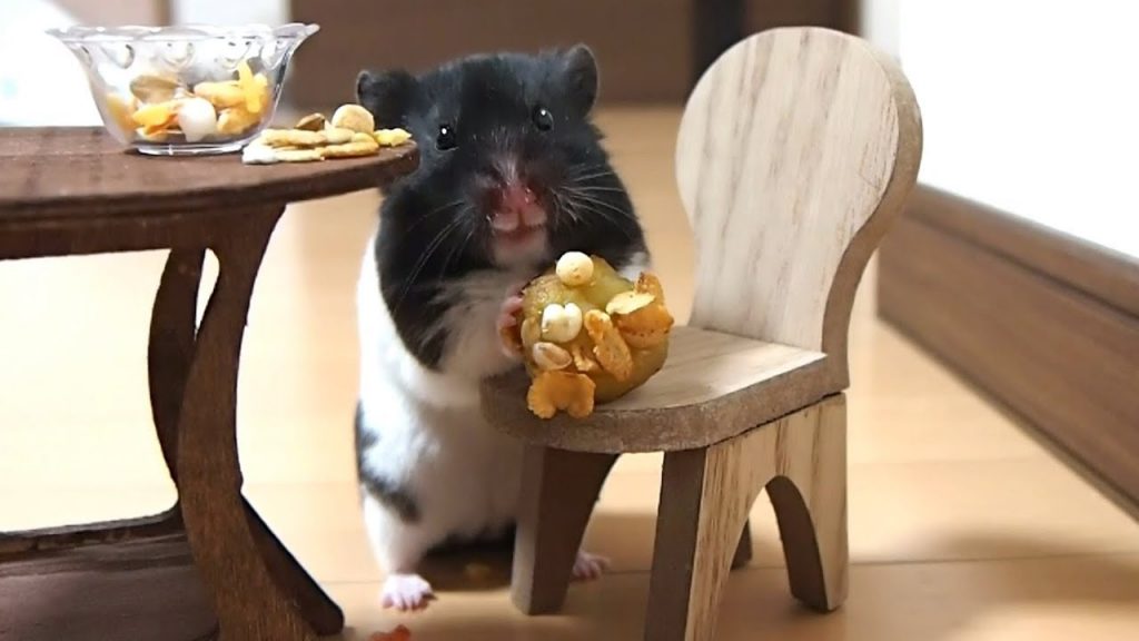 めっちゃおいしそうにサツマイモパフェを食べるおもしろ可愛い癒しハムスター! It looks deliciously Funny hamster eating sweet potato parfait