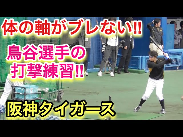 鳥谷選手のお手本の様な打撃練習！（何故か半笑い・・・w）【阪神タイガース】
