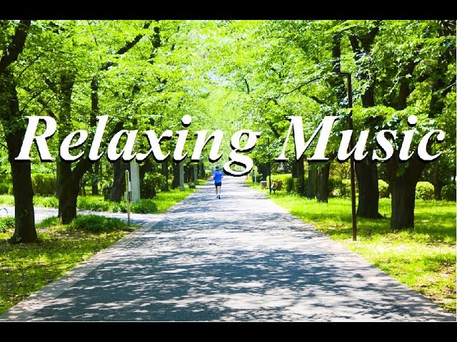 さわやかで心地よい朝の音楽・BGM・癒しのギターカフェミュージック（YouTube BGM Backgroundmusic）