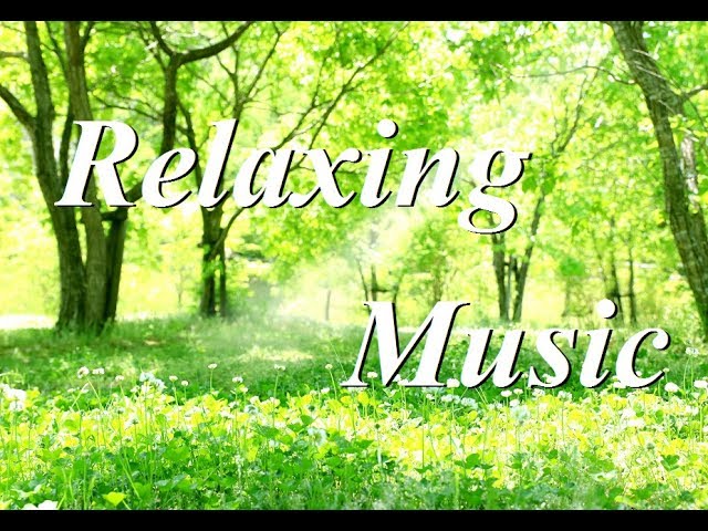 朝の音楽・さわやかリラックスBGM・癒しのギターカフェミュージック（YouTube BGM Backgroundmusic）