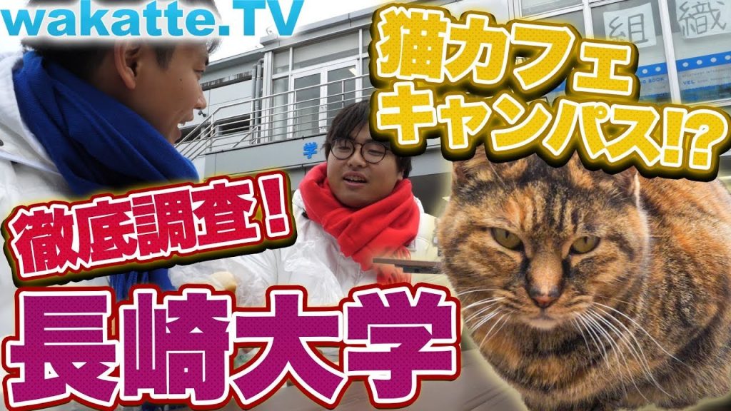 どうしてあなたは長崎大に？猫だらけの癒し大学を徹底調査！【wakatte.TV】#153