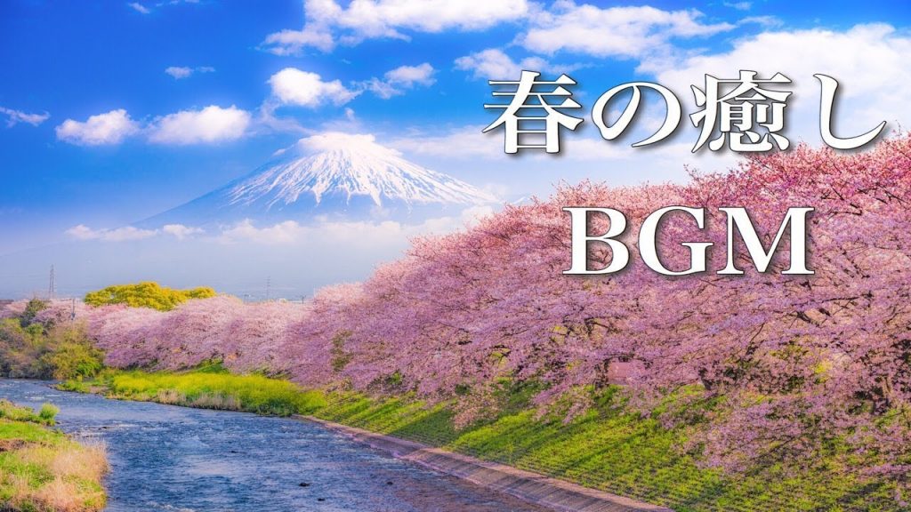 静かな夜に聴く、春の癒し曲【作業用BGM】～桜舞う季節に、儚くも美しいピアノの音色を～