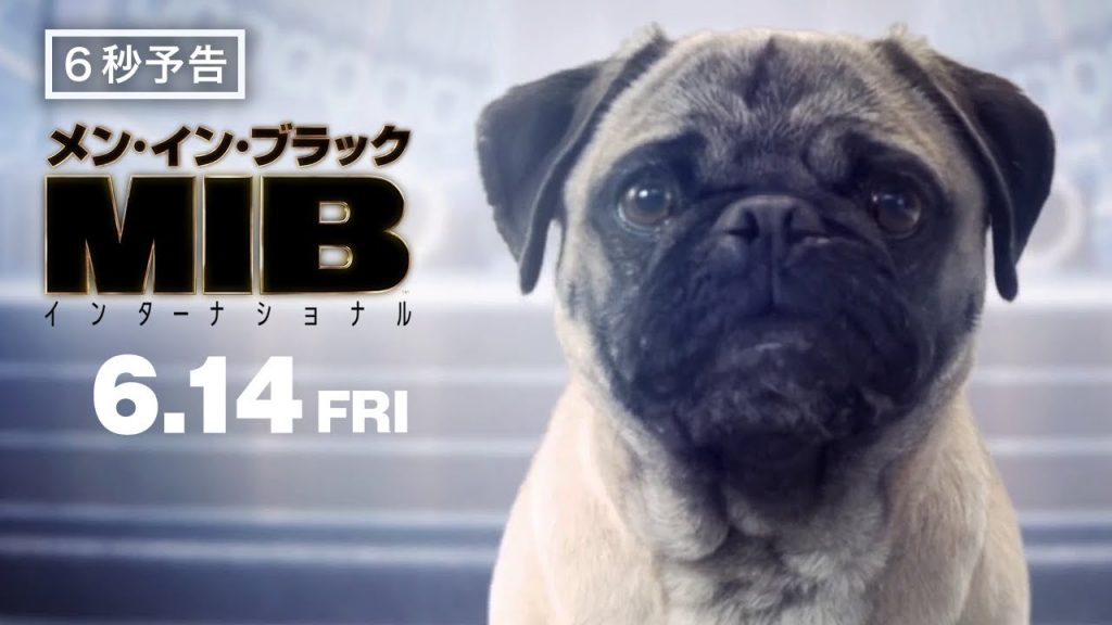 【癒し注意】犬好き必見 編　映画『メン・イン・ブラック：インターナショナル』6月14日（金）公開