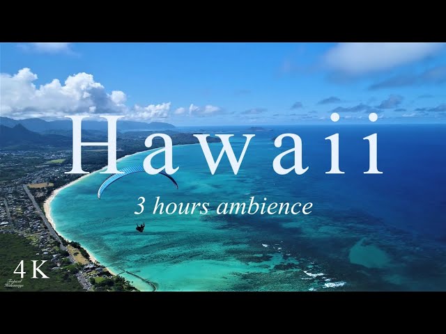 【ハワイ 4K】南国ハワイ癒しの波音・森の音、ヒーリングBGM｜空撮4K風景映像｜旅行 海｜Hawaii relaxing video | Hawaii relaxing ocean sounds
