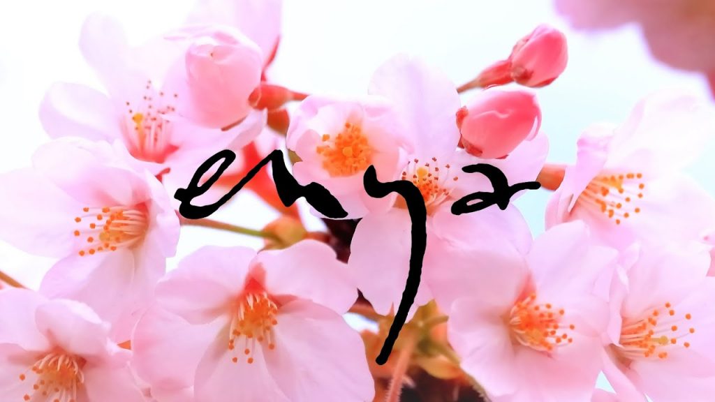 【桜のBGM】癒し効果絶大！エンヤ・ベスト曲集　第6弾