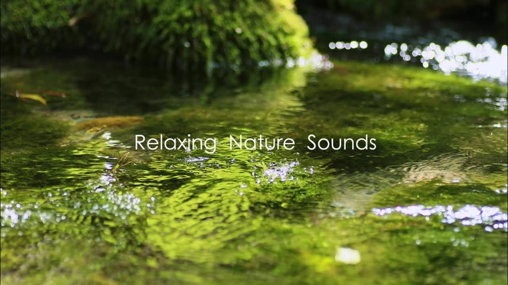 【自然の音と4K 映像】癒しの自然環境音 | 伏流水 湧き水の音 1時間