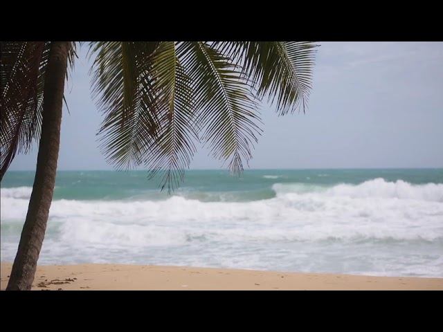 癒しのハワイアンミュージックBGM60分【ハワイの海でリラックス掛け流し音楽ASMR】
