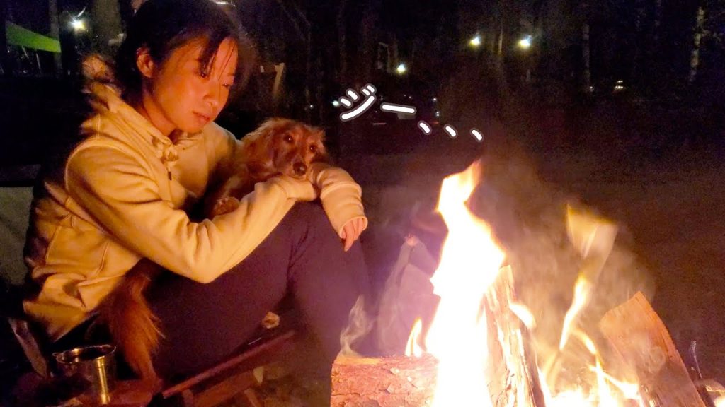 【ミニチュアダックスフンド】愛犬と囲う焚き火の癒し