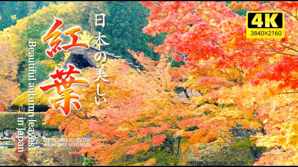 【4K】優しい癒しBGMと美しい日本の紅葉（自然音）／疲れた心身の回復・リラックス効果・勉強中や作業用、目覚めの朝に、または眠れない夜にもどうぞ。natural sound 3 hours