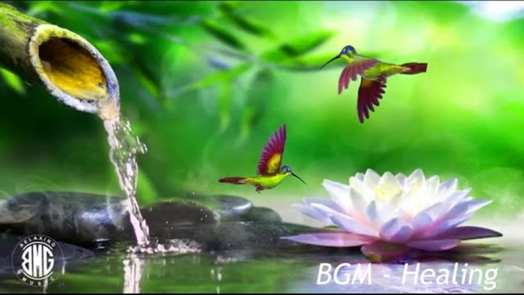 Bamboo Water Fountain Healing 24/7 自然の音とともに音楽をリラックス バンブーウォーターファウンテン 【癒し音楽BGM】#Tony132