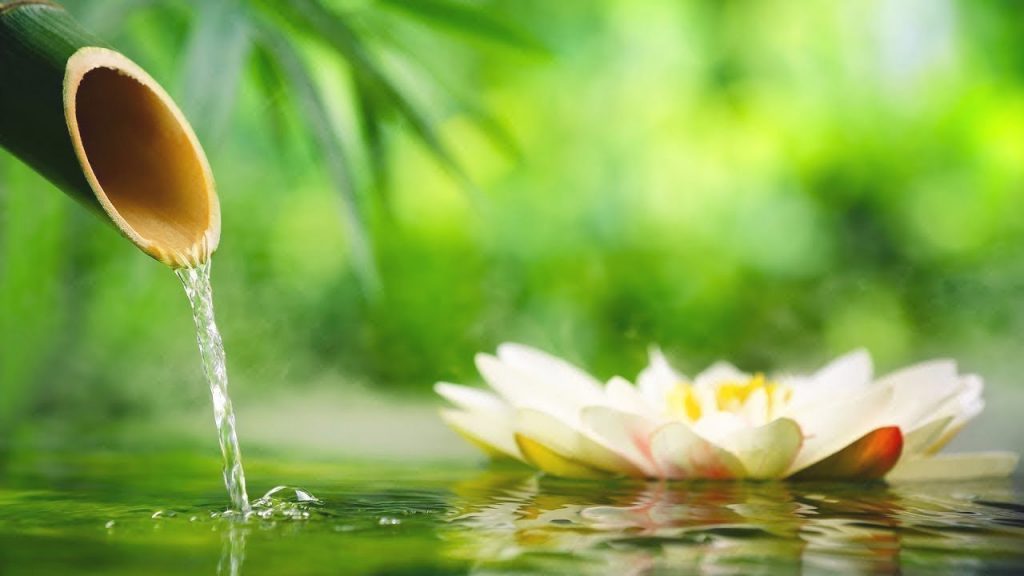 Bamboo Water Fountain 24/7 自然の音とともに音楽をリラックス バンブーウォーターファウンテン 【癒し音楽BGM】#Tony99
