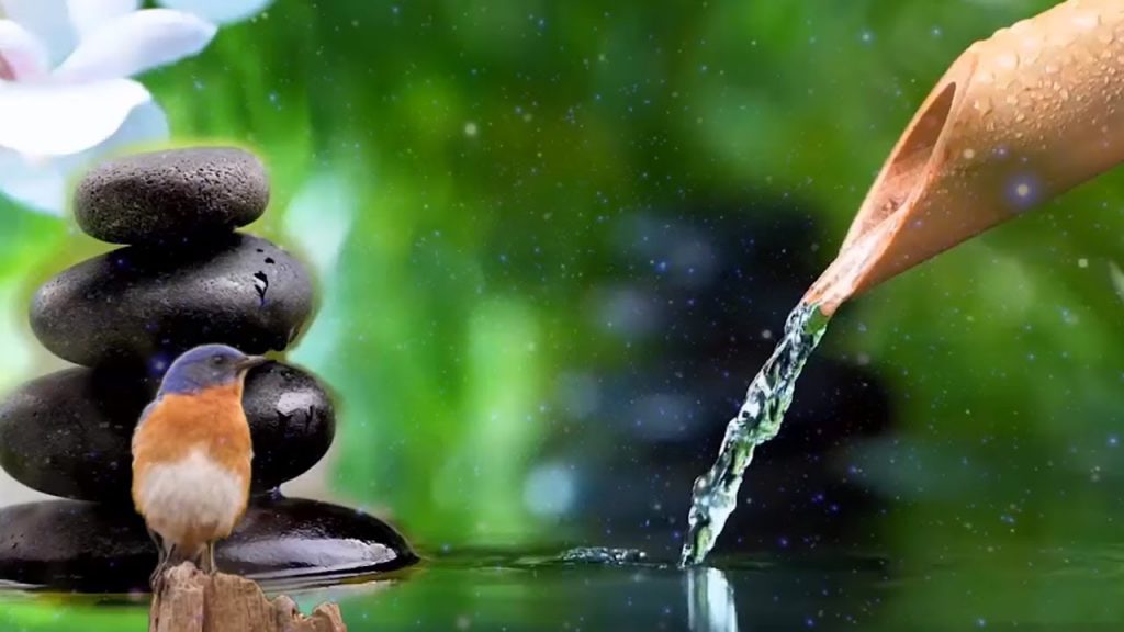 【リラックス音楽】自然の音でリラックス音楽竹の噴水癒し24/7 – Bamboo water fountain