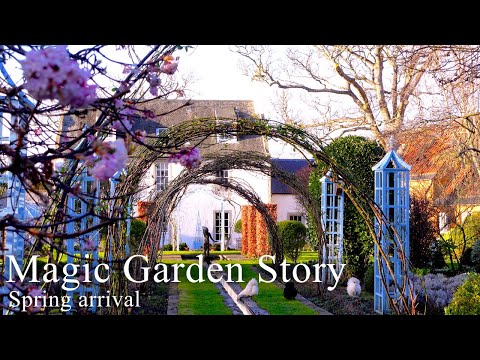 ナチュラルガーデン春の訪れ|イギリス,スコットランド老夫妻の癒しの庭|イングリッシュガーデン|63年間掛け創り上げた秘密の花園|ガーデニング|オープンガーデン2022