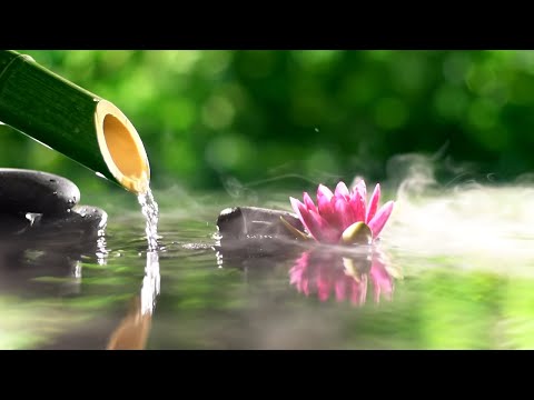 Bamboo Water Fountain Healing 自然の音とともに音楽をリラックス バンブーウォーターファウンテン 【癒し音楽BGM】