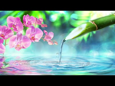 自然の音とともに音楽をリラックス バンブーウォーターファウンテン 【癒し音楽BGM】Relaxing music with the sound of nature 2022