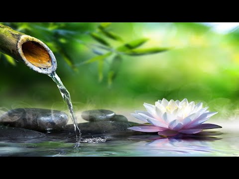 Bamboo Water Fountain 自然の音とともに音楽をリラックス バンブーウォーターファウンテン 【癒し音楽BGM】