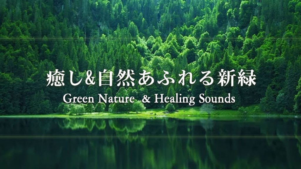 【癒しBGM】新緑は一日中気分を良くしてくれます～「川のせせらぎと鳥のさえずり」～リラックスして減圧し、瞑想し、勉強中や作業用、自然に親しみ、眠れない夜にもどうぞ、安眠を促します。