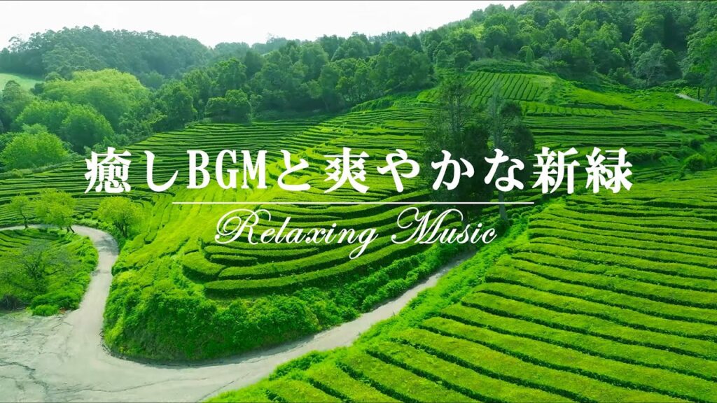 【Relaxing Music】癒しBGMと爽やかな新緑｜自律神経緩和、リラックッス効果、集中効果・寝起きにリラックスしながら目覚めたい方へ、朝から聞きたいストレス緩和曲集