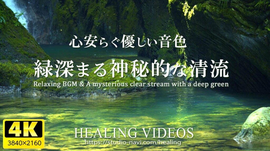 【癒しBGMと自然音】緑深まる神秘的な清流と優しいメロディーが心に染みます。日頃のストレスや疲れた心身の回復に、リラックス効果・勉強中や作業用、眠れない夜にもどうぞ。