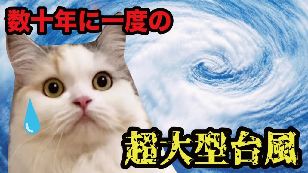 超大型台風が上陸した結果…【漫才】【コント】