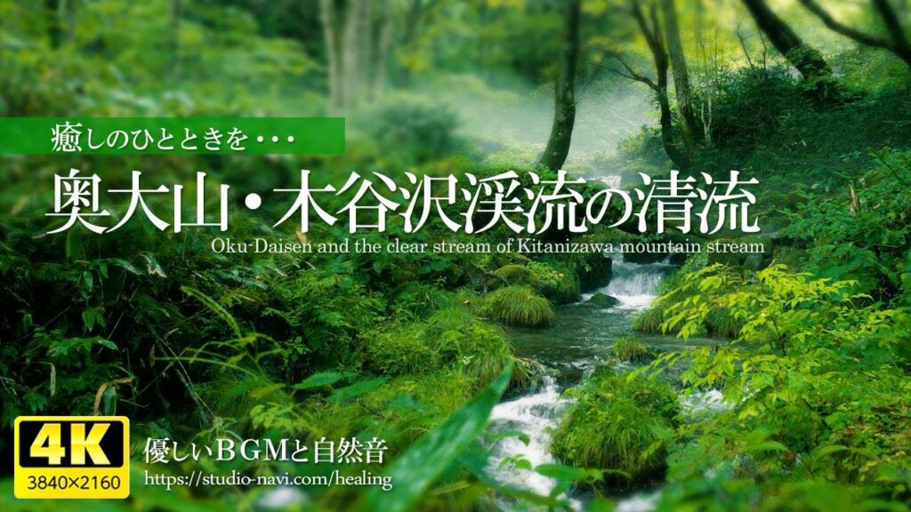 【癒し】奥大山の清流と自然あふれる新緑（CMロケ地／木谷沢渓流）疲れた心身の回復・リラックス効果・勉強中や作業用、目覚めの朝や眠れない夜にもどうぞ。（途中広告なは入れていません）