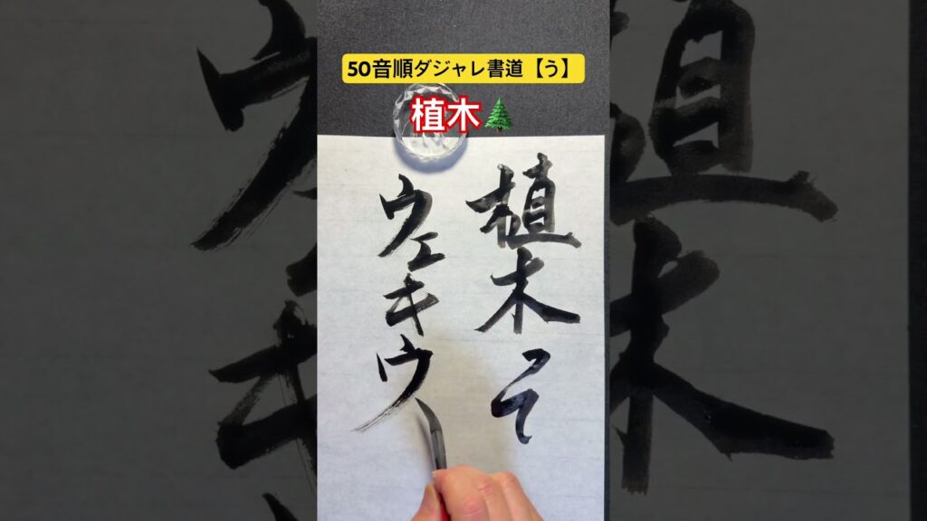 50音順ダジャレ書道【う】「植木」 #笑い #calligraphy #書道 #だじゃれ #ダジャレ #ダジャレ書道 #書道だいすき #筆文字 #書道家 #楽書家  #楽書 #植木 #ウキウキ