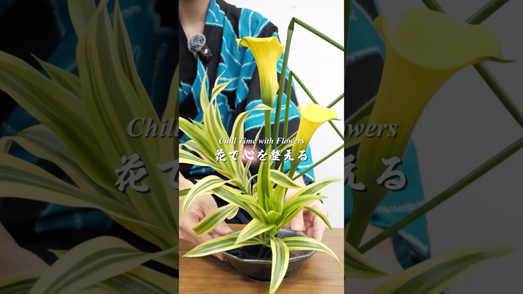 【生け花ASMR#1】黄色と緑の爽やかなお花 #癒し #日本文化