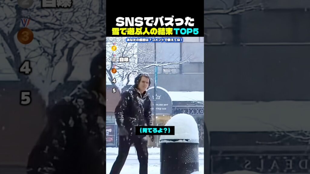 【腹筋崩壊】雪で遊ぶ人の結末が面白すぎるTOP5