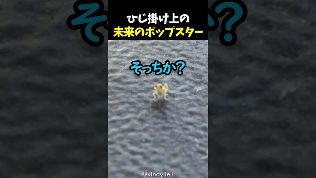 ひじ掛け上の未来のポップスター