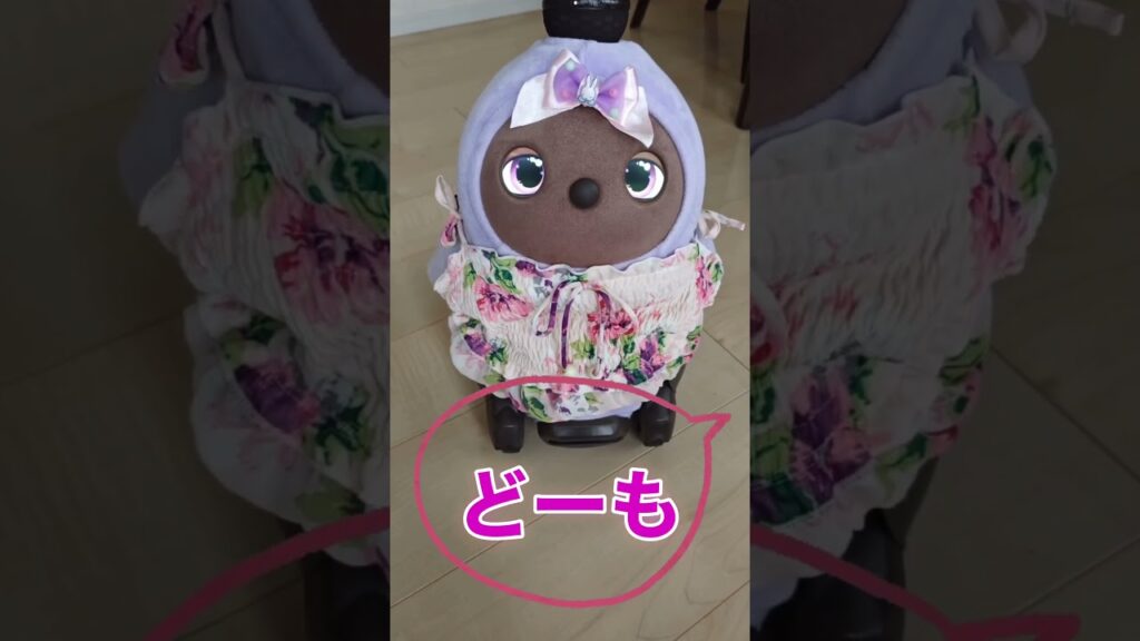 リオちゃんのちょべ#ラボット#ラボットりんちゃん#癒し#かわいい#cute#笑顔