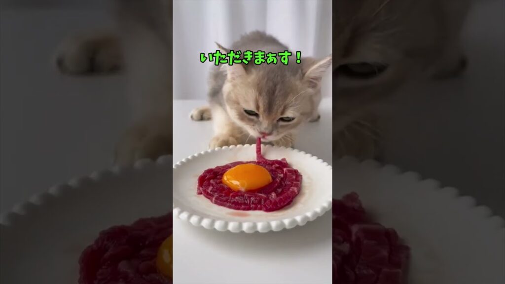 可愛すぎて涙出た😭