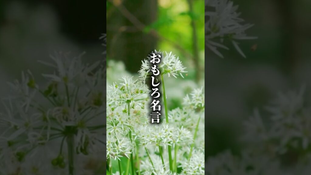 おもしろ名言 #名言 #おもしろ #人生 #癒し #shorts