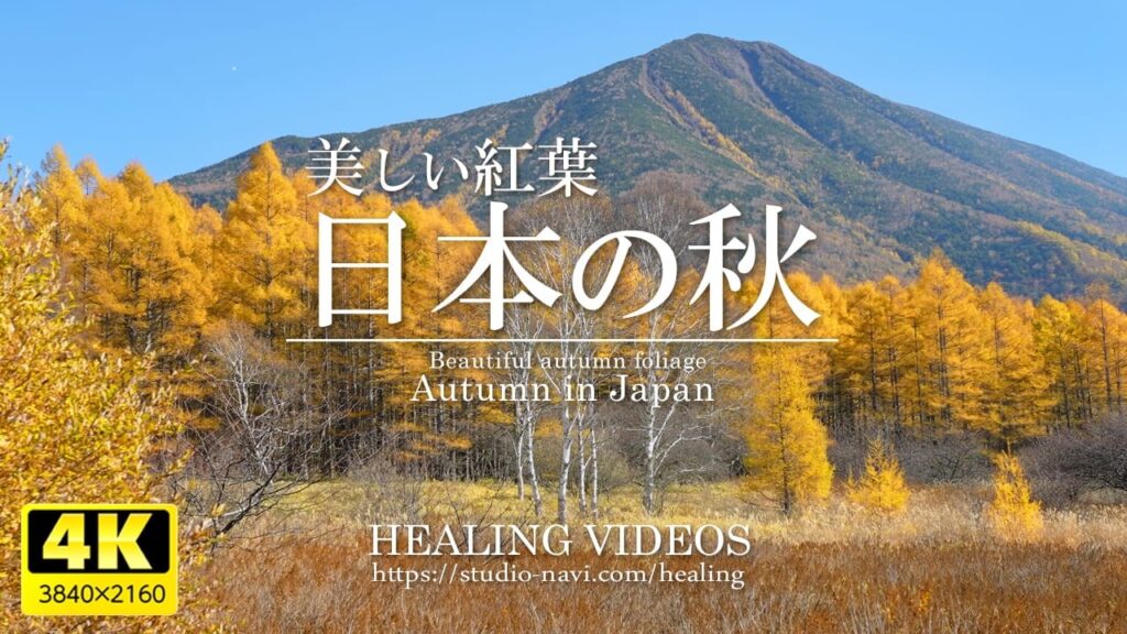【癒し】日本の秋／心安らぐ紅葉（日本の美しい紅葉 VOL.8）／疲れた心身の回復とリラックス効果、目覚めの朝や眠れない夜にもどうぞ。「4K風景映像・実写」