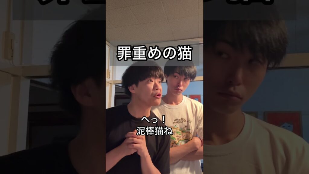 「罪重めの猫 」 #あるある #漫才 #お笑い #m1 #koc #ヴェルナーのおショート #ヴェルナー #ヴェルナーのお漫才 #猫