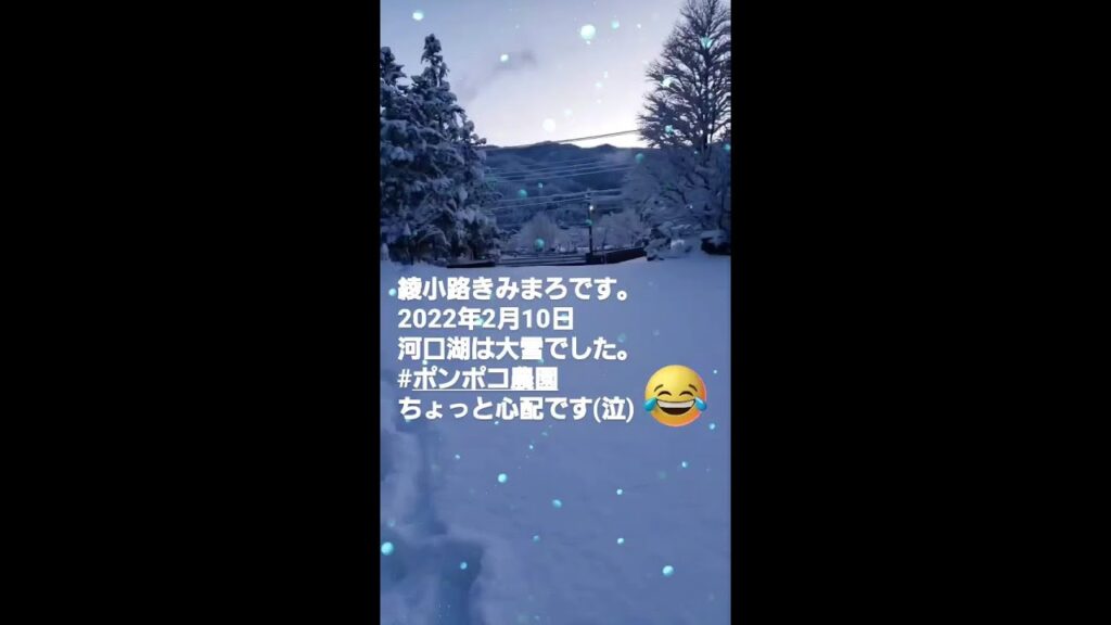 綾小路きみまろです。2022年2月10日木曜日。河口湖は大雪となりました⛄