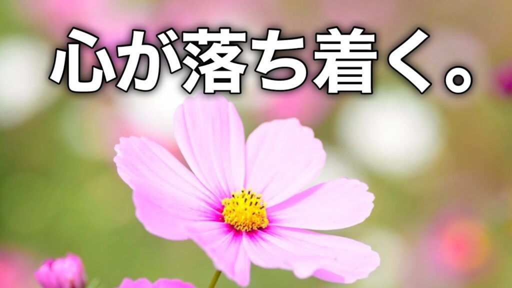 【秋のリラックスBGM】心が落ち着く優しい癒し音楽｜ストレス・不安を和らげる｜睡眠・作業・勉強用