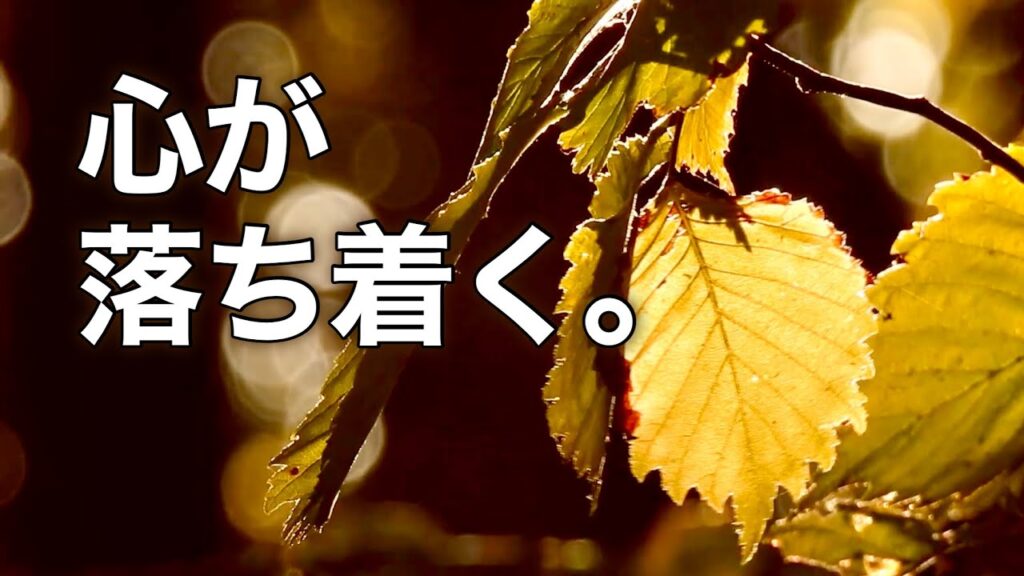 【秋の癒し音楽】心が安らぐ穏やかなBGM｜ストレスや不安をやわらげる｜睡眠・作業・勉強用