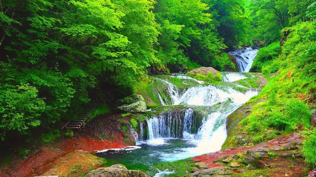 4k Japan Nature Healing Relaxation 癒し自然映像 新緑の蓼科高原 滝めぐり2 おしどり隠しの滝 王滝 野鳥のさえずり Waterfall Tour