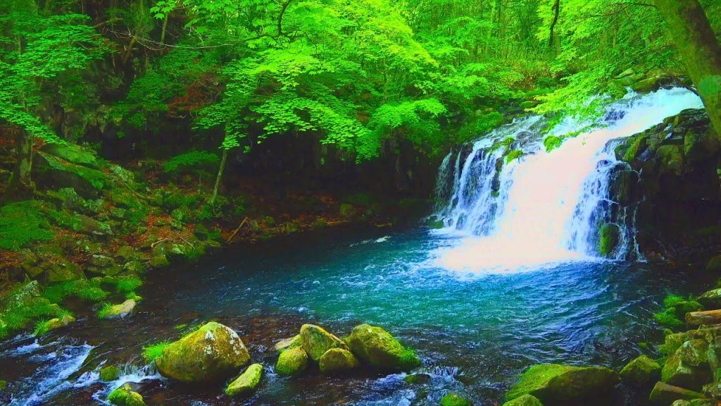 4k Japan Nature Healing Relaxation 癒し自然映像 新緑の蓼科高原 滝めぐり１ 大滝 乙女滝 野鳥のさえずり Waterfall Tour Singing Birds