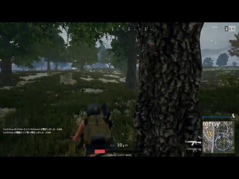 【PUBG】笑いでドン勝つ夜連