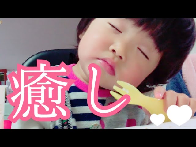 【癒し】食べたいけど、眠い…  食べながら寝る赤ちゃん